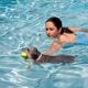 Pool & Pups: Guiding New Dog Owners