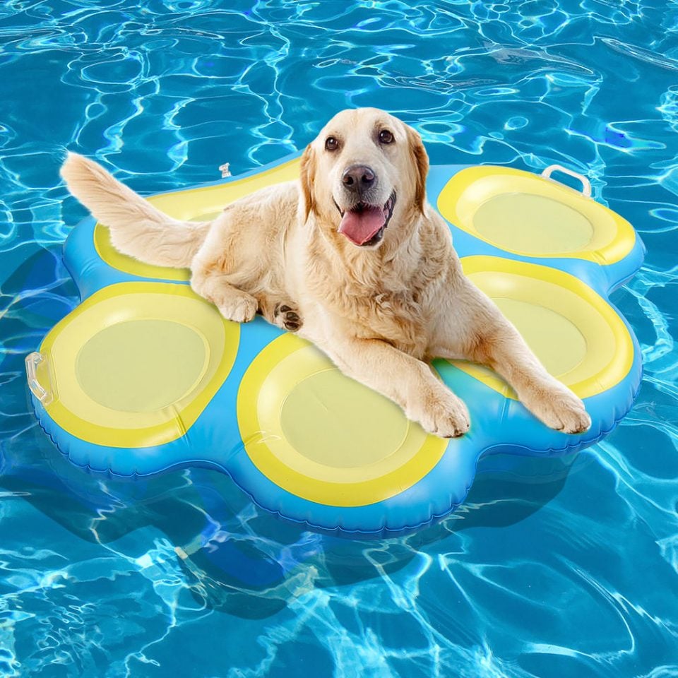 https://www.poolmagazine.com/wp-content/uploads/2021/08/best-pool-floats-for-dogs-e1629127729301.jpeg