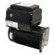 Nidec Neptune 3.45HP pool pump motor