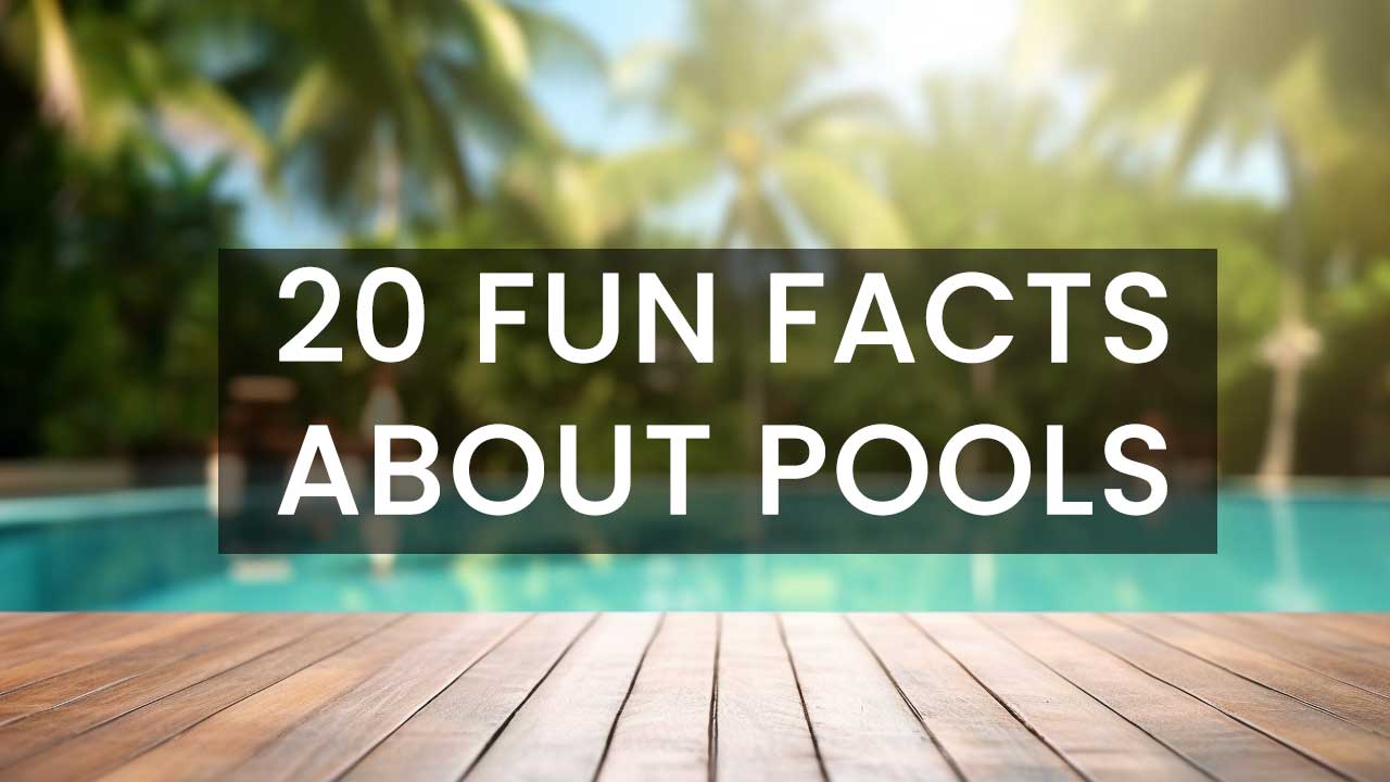 20 Fun Facts You Didn’t Know About Swimming Pools Pool Serenity