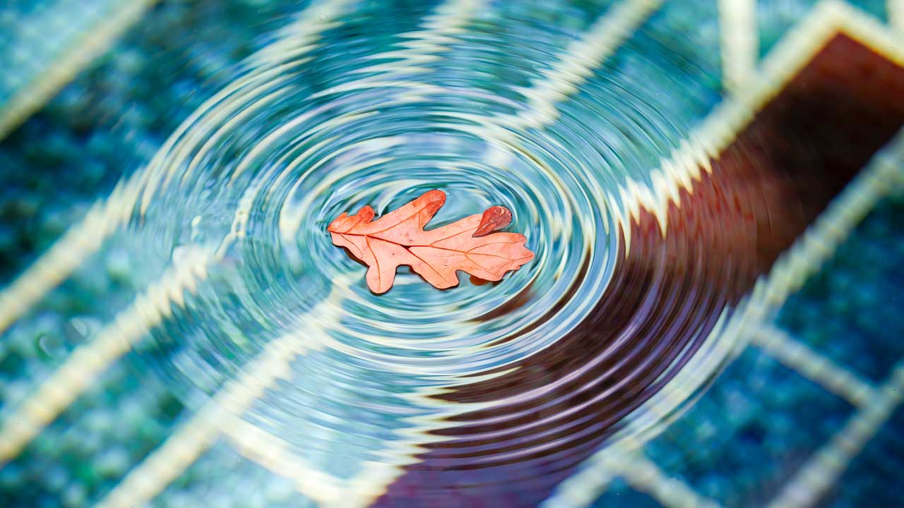 Remembering Guy Wood: A Builder Who Elevated the Craft of Pool Construction